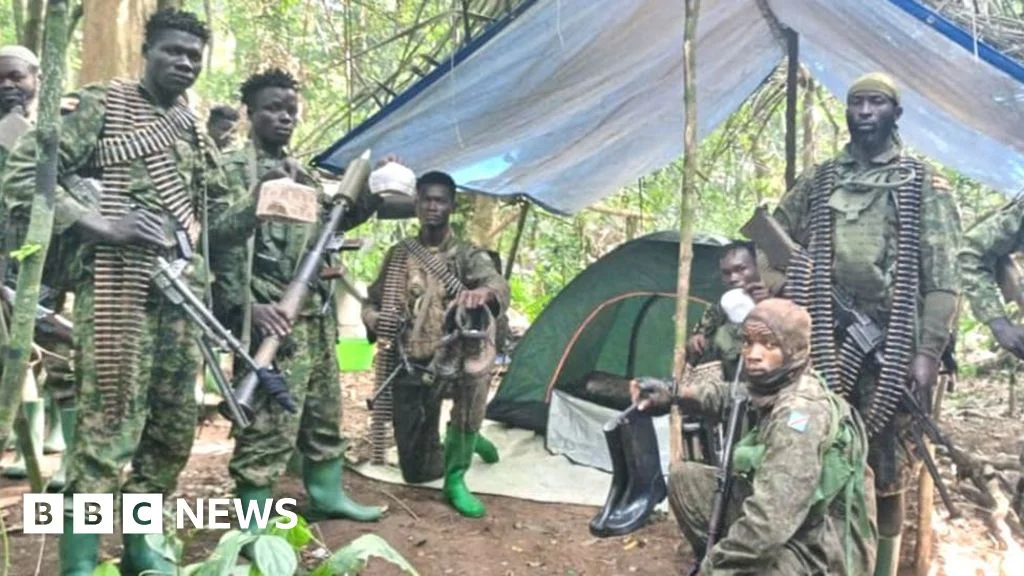 Ugandan-Congolese forces rescue 200+ civilians from IS-linked ADF camp in DR Congo