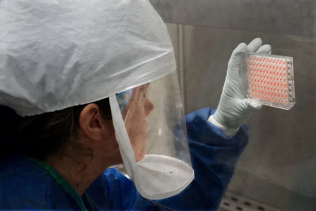 AI-Powered Virus Map Narrows Pandemic Threats to Key Viral Players