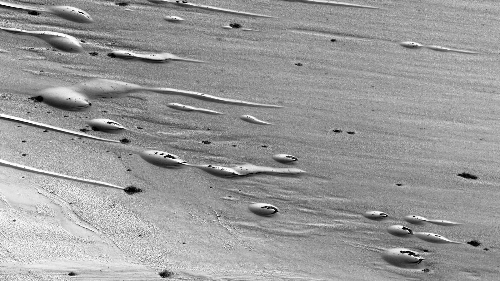 Spring melt on Mars: HiRISE captures retreating ice and wind-sculpted dunes at Chasma Boreale