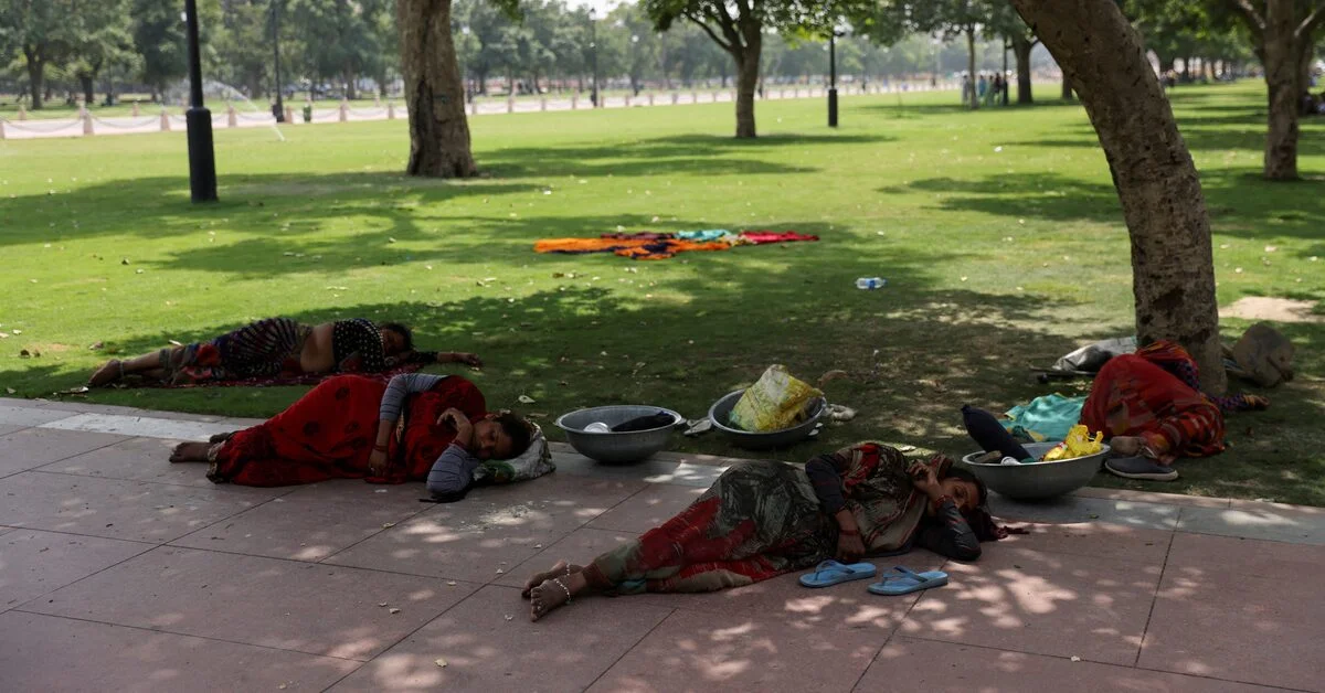 Heat wave claims dozens of lives in northern India