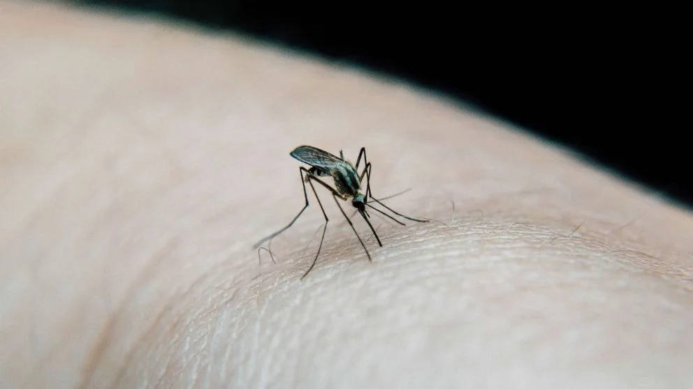 US Health Officials Report 5 Cases of Malaria