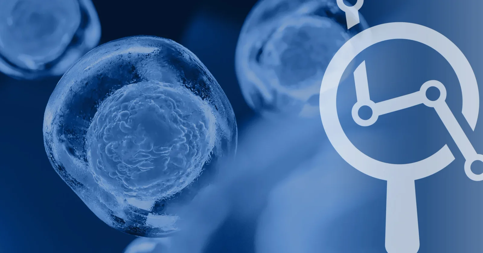PMOS Renames PCOS to Reflect Metabolic-Endocrine Reality for 170 Million Women