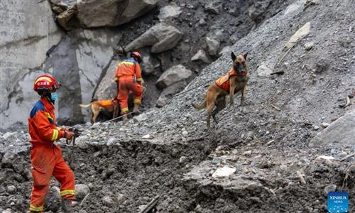 Racing Against Time After Mudslide Hits Gyirong Border Port