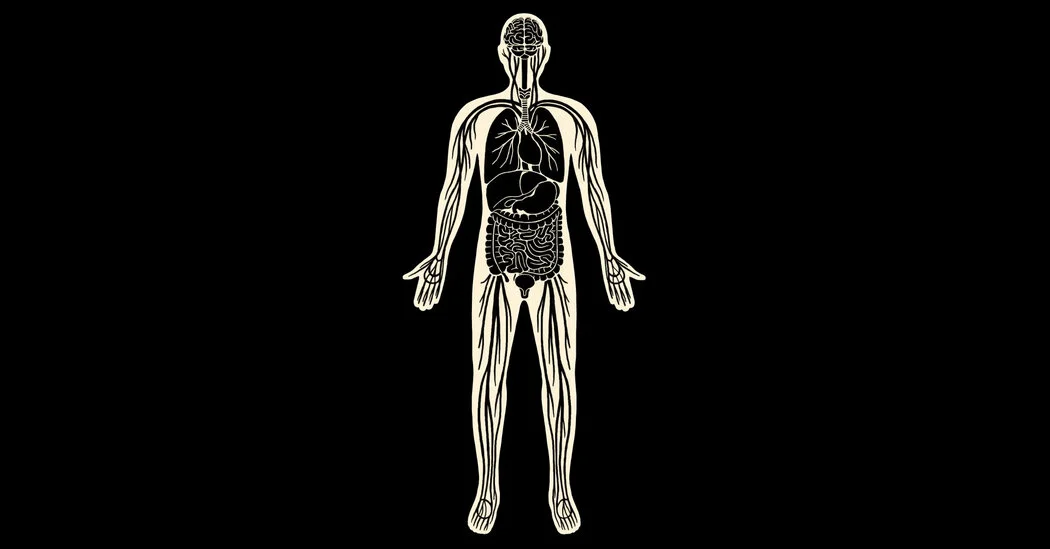 Interstitium Unveiled: The Body's Hidden Fluid Highway
