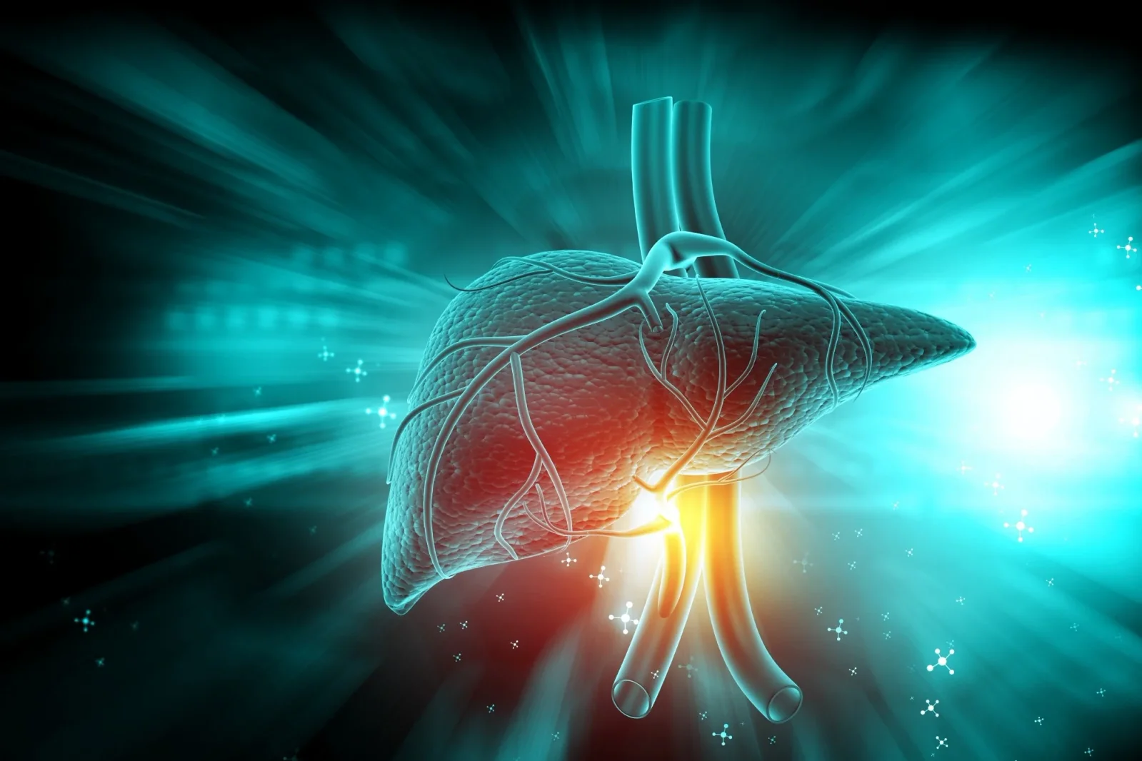 Ketogenic Diet Shows Distinct Liver Benefits During Weight Loss