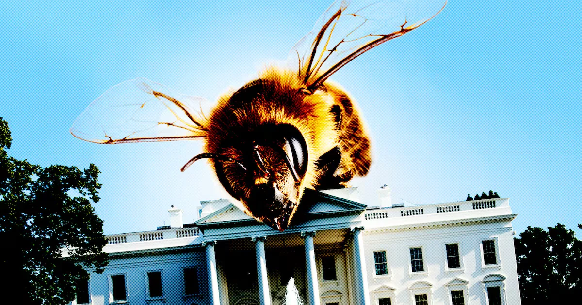 Buzz at the White House: Thousands of Bees Descend on the North Lawn