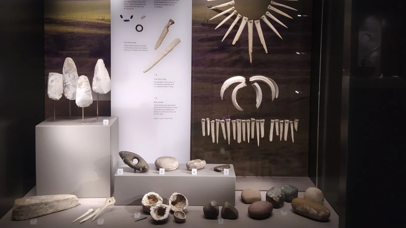 Ancient DNA overturns Bronze Age stereotypes: Stonehenge-era shaman identified as female