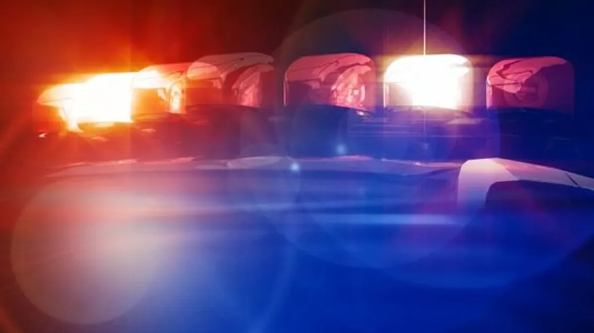 Toddler accidentally shoots and kills pregnant mother in Ohio.