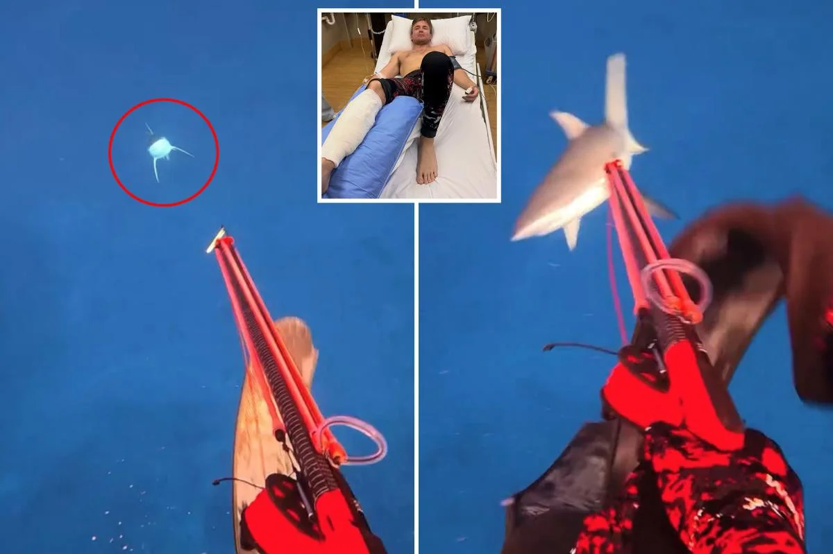 Influencer Survives Fiji Shark Attack Filmed During Dive