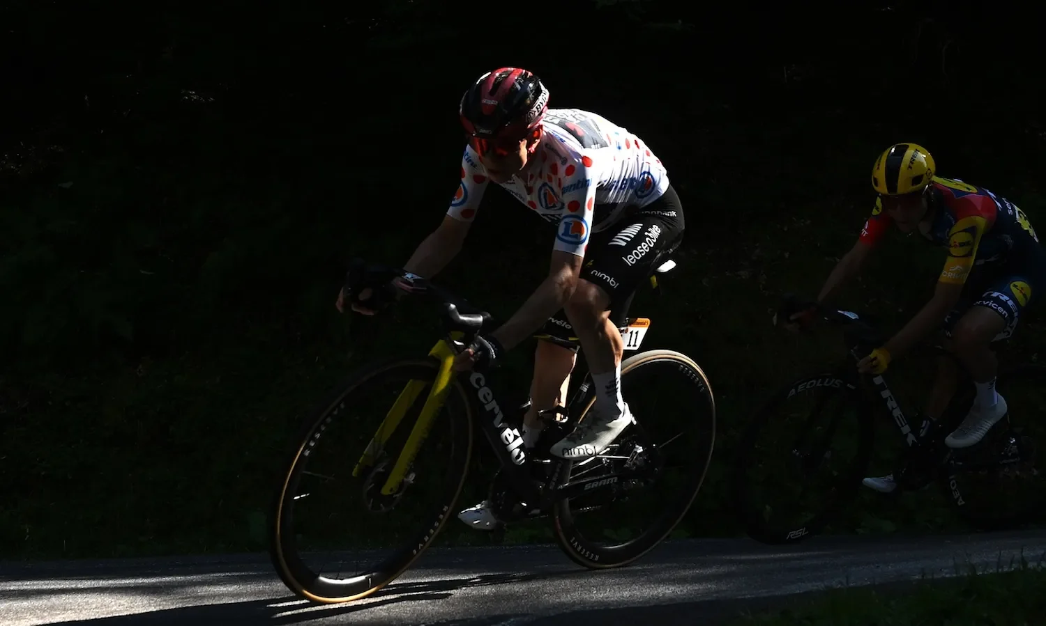 Vingegaard Crashes Out of the Tour, a Stark Reminder of Pro Cycling's Brutality