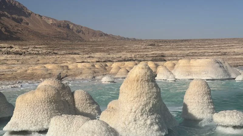 On the brink of vanishing: the Dead Sea's sinkholes and stalled remedies