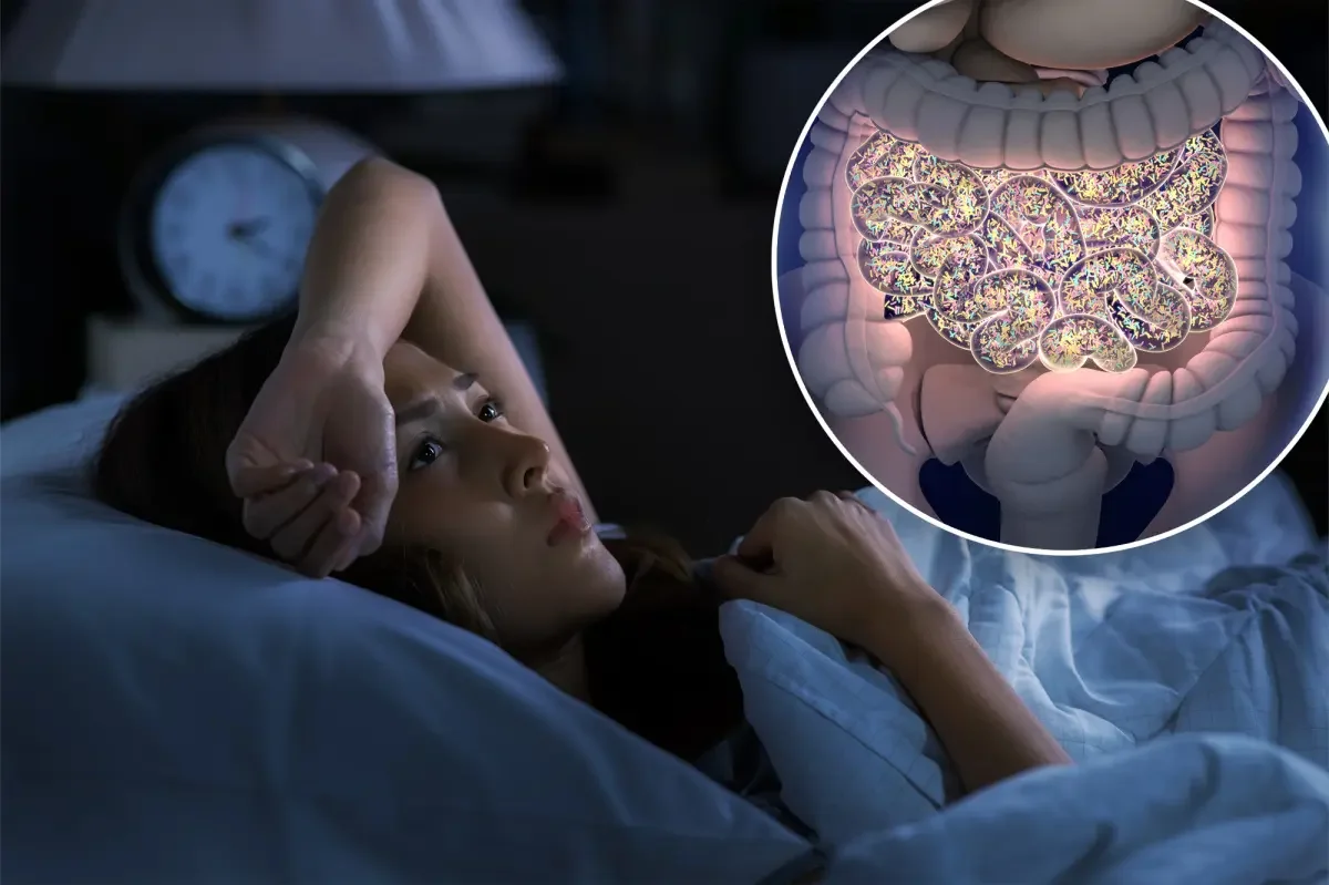 Gut Bacteria Transplants Offer Sleep Gains in Small Insomnia Trial