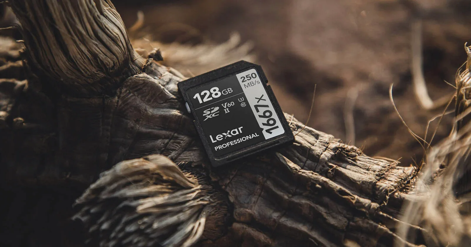 Fake SD Cards: The Hidden Risk Lurking in Your Memory Kit