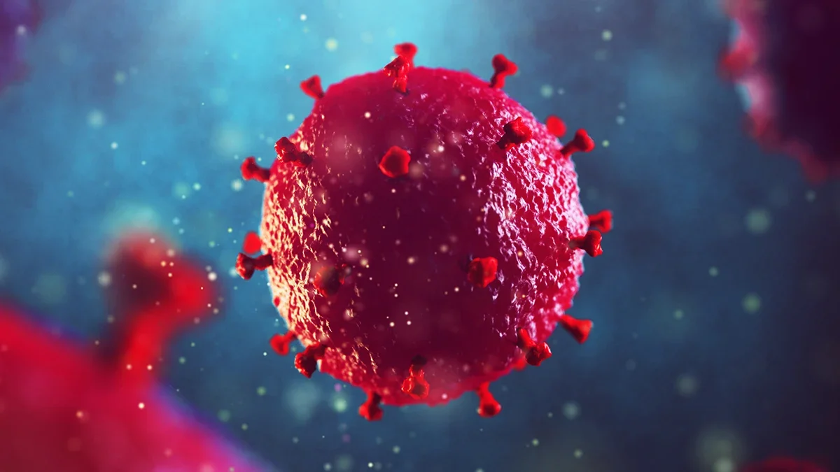 Brother-Sourced Stem Cells Trigger HIV Remission in Oslo Patient