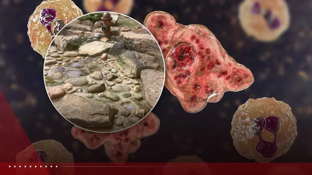 Durham water feature linked to teen's brain-eating amoeba death