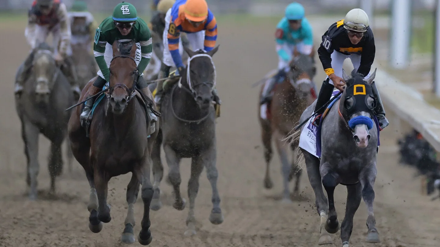 Napoleon Solo Prevails in the 151st Preakness at Laurel Park