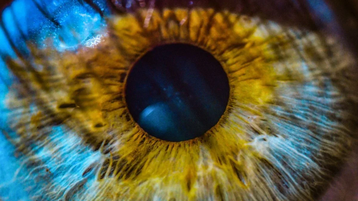 Seeing Ahead: Retina Clues Alzheimer's Risk Revealed by AI