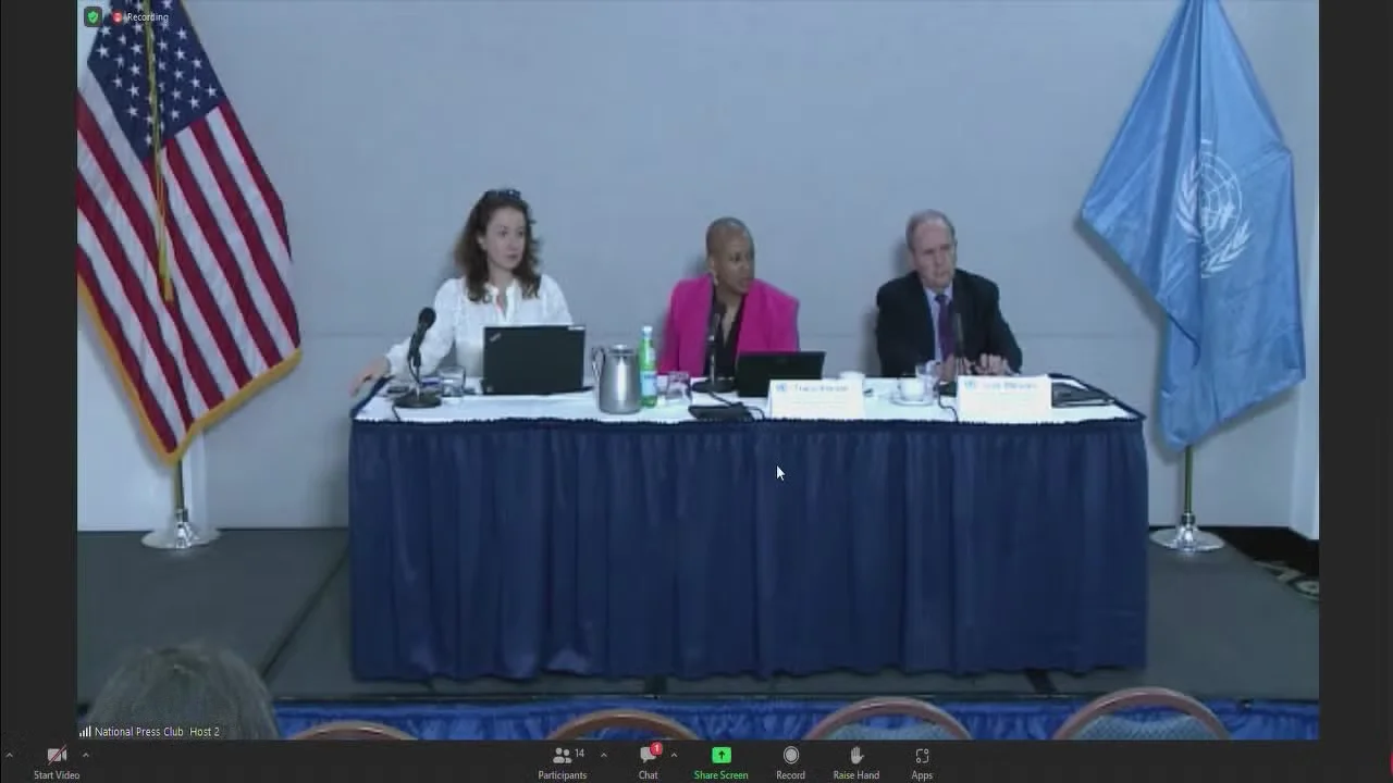 UN Panel Concludes on Racism in Policing After Visiting Minneapolis and Other Cities