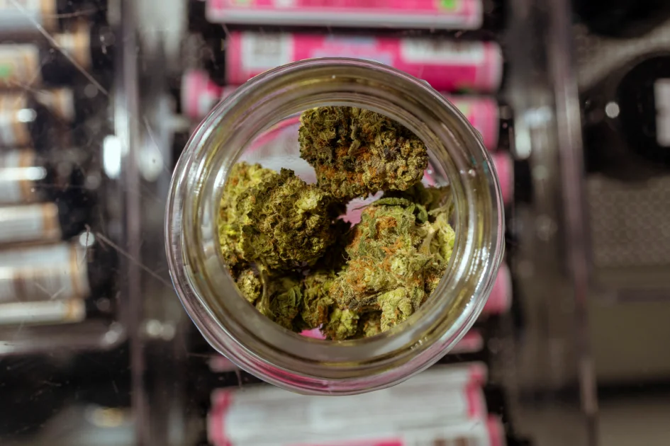 Texas hemp groups sue to block smokeable-ban and licensing spike