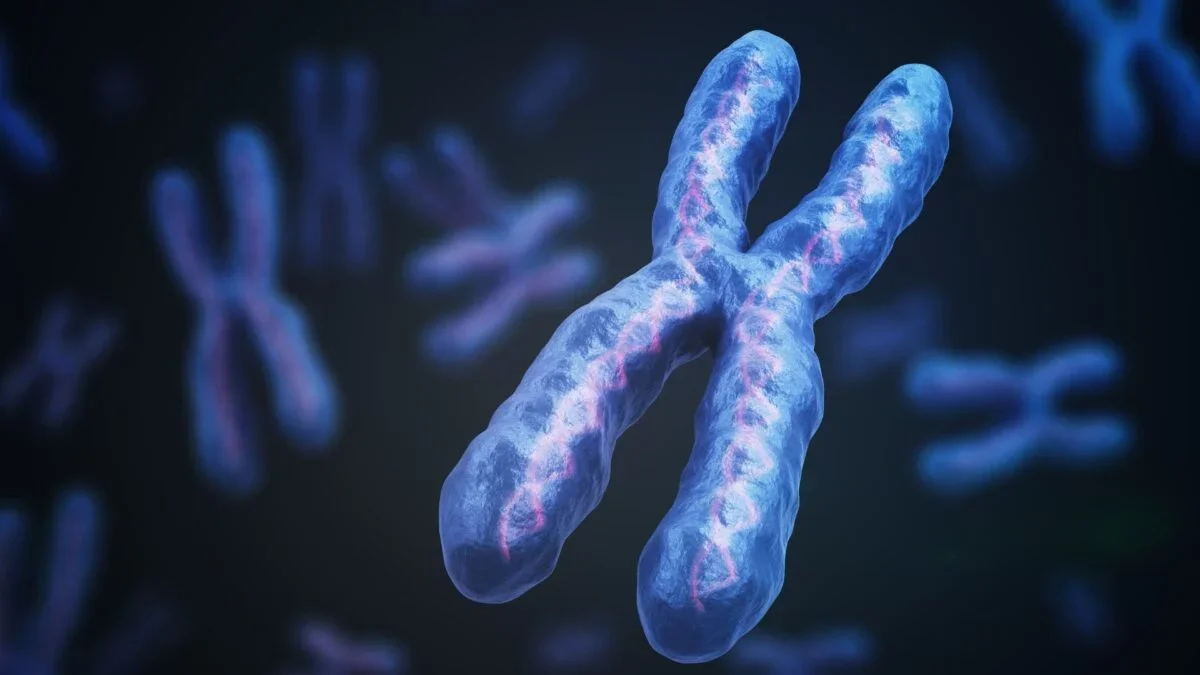 Researchers test CRISPR/XIST approach to turn off extra chromosome in Down syndrome cells