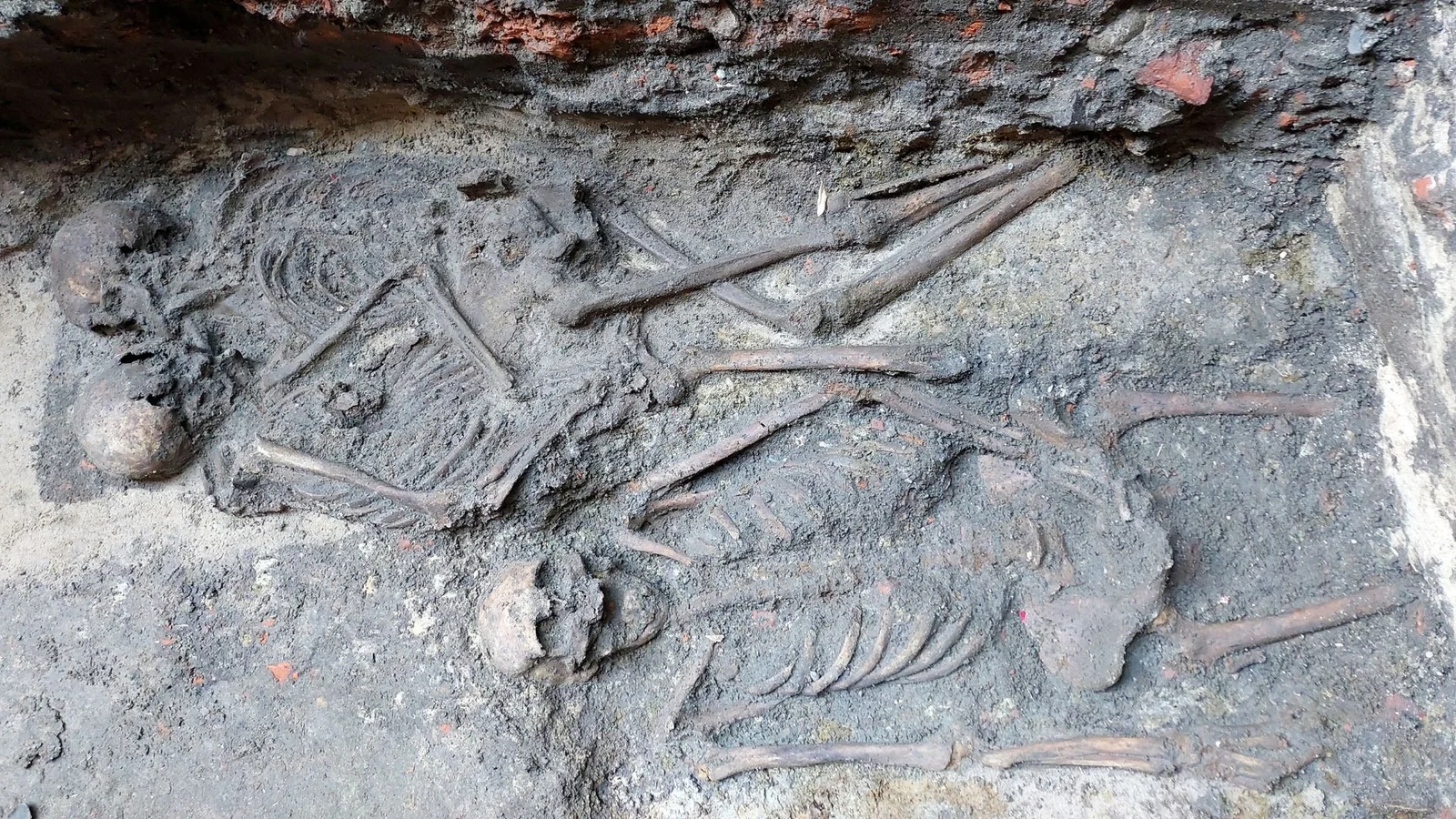 Embrace in stone: ancient DNA confirms Poland's first medieval same-sex burial