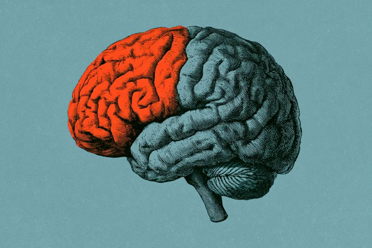 Silencing the Brain’s Executive Center Accelerates Creative Strategy Shifts in Mice