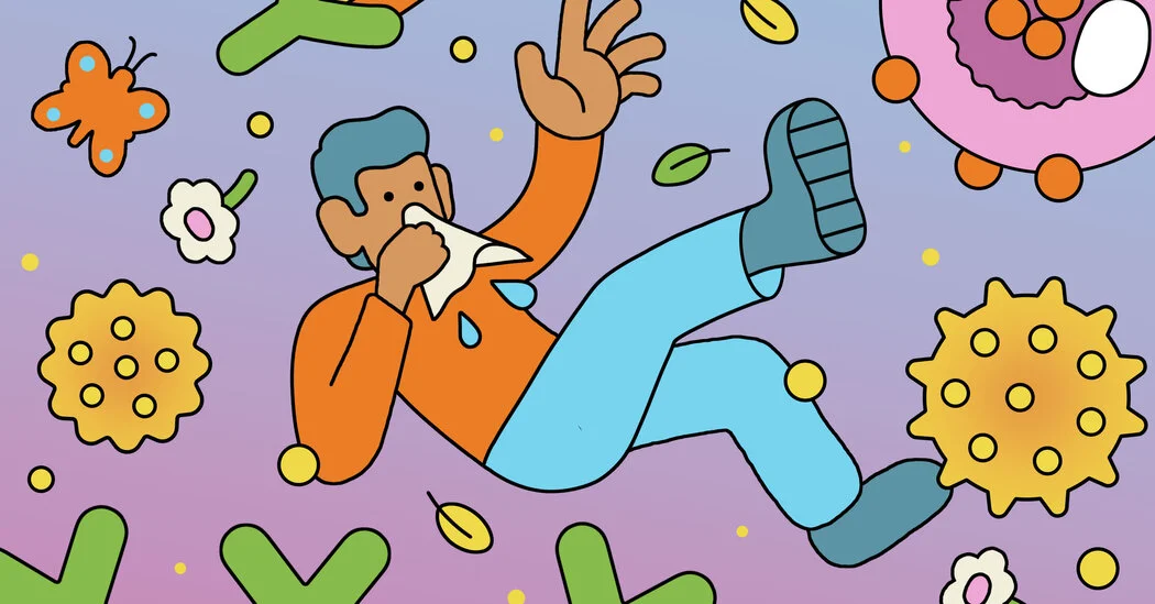 The Immune Drama Behind Seasonal Allergies