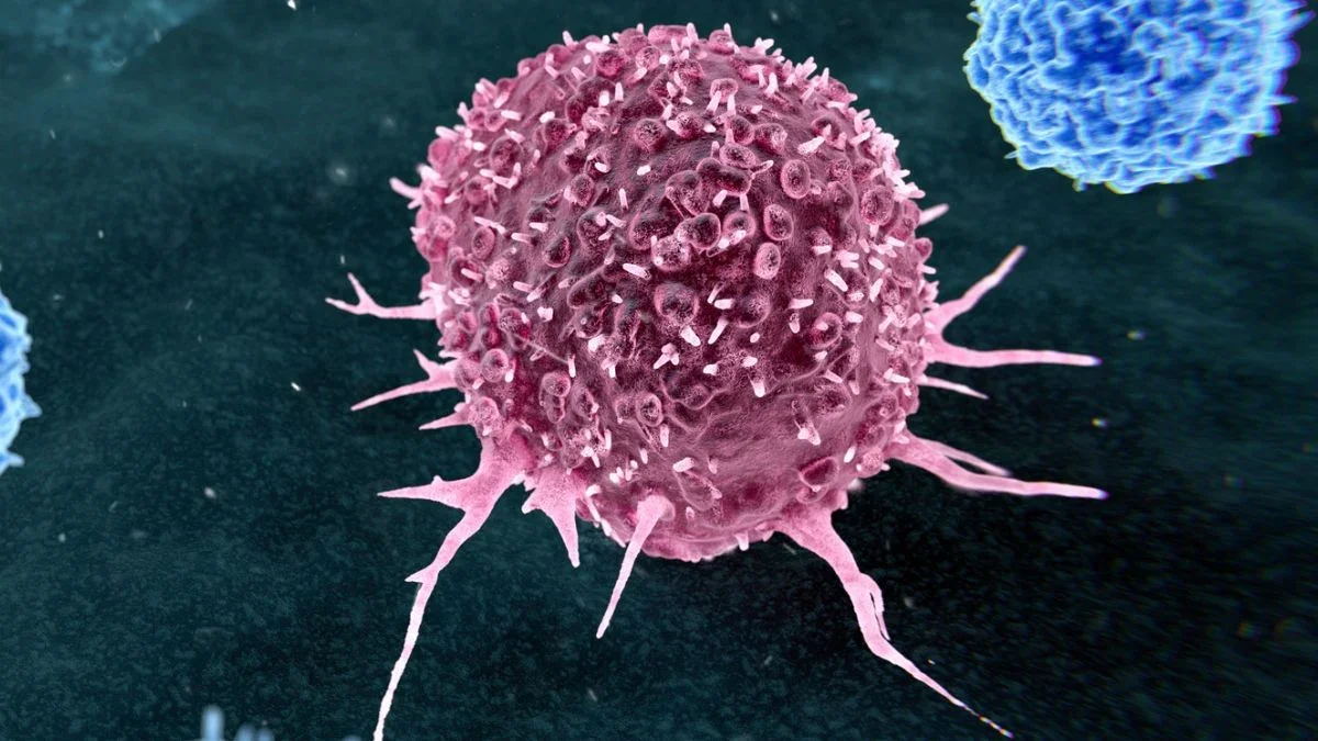 Two Lifestyle Habits Drive Almost Half of Preventable Cancers Worldwide