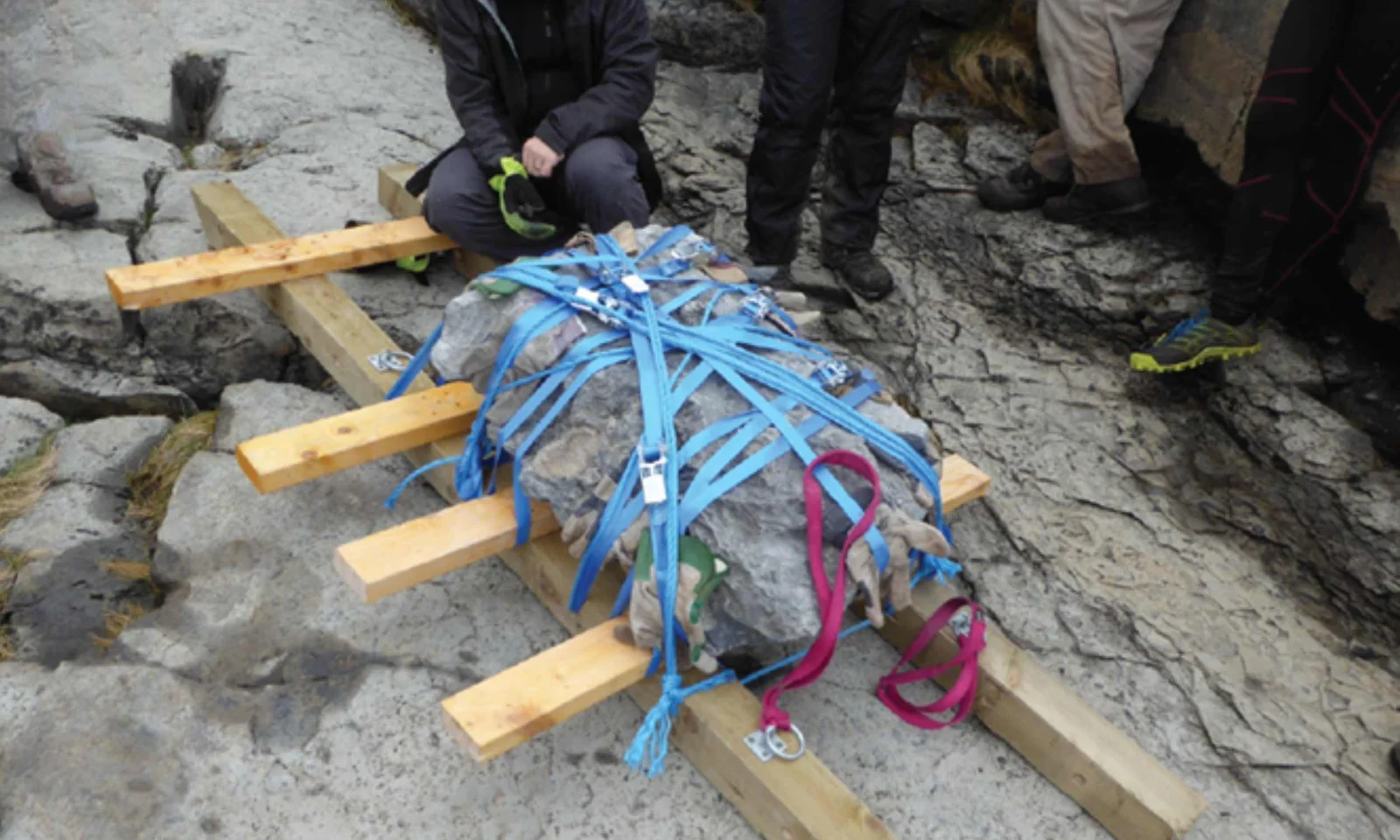 Dog-sized Middle Jurassic dinosaur hints at earlier herbivore diversification in Scotland