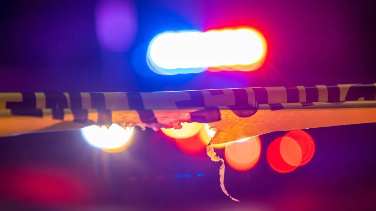 New Mexico Mass Shooting Leaves 4 Dead: Police