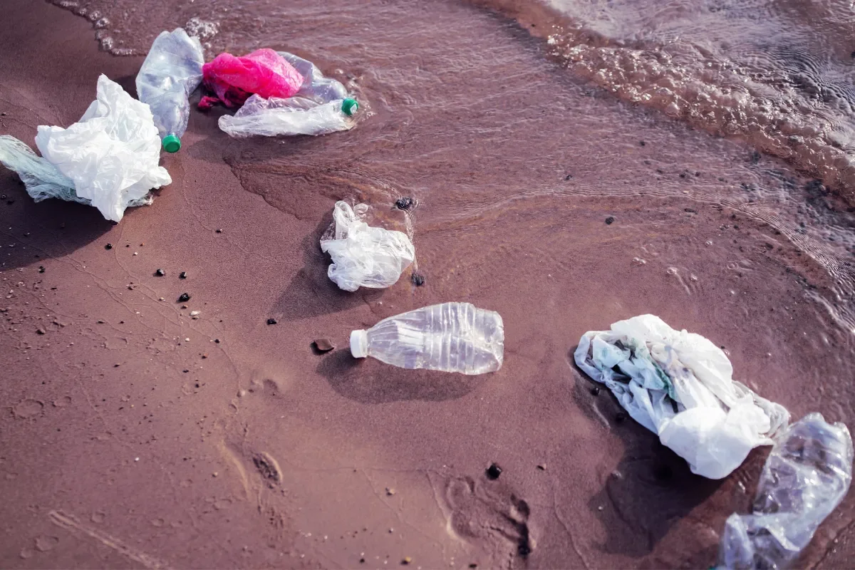 UK River Cleanup Turns Legal Quagmire as Volunteer Faces Prison