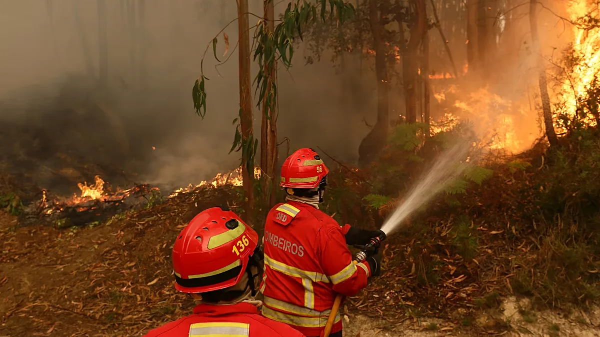 Portugal receives cross-border firefighting aid as Vouzela blaze intensifies