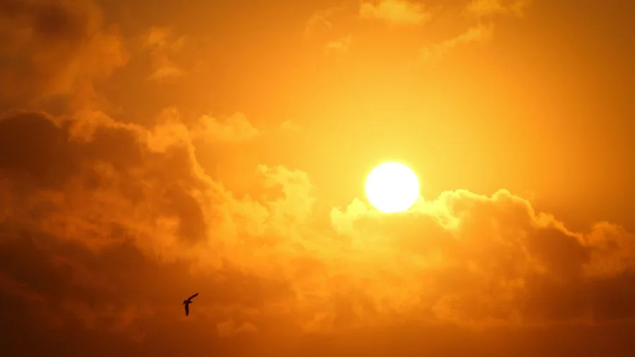 Heat waves heighten heart risk, experts warn