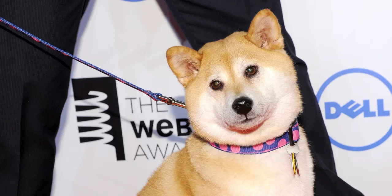 Elon Musk's Twitter Logo Change Boosts Dogecoin's Value