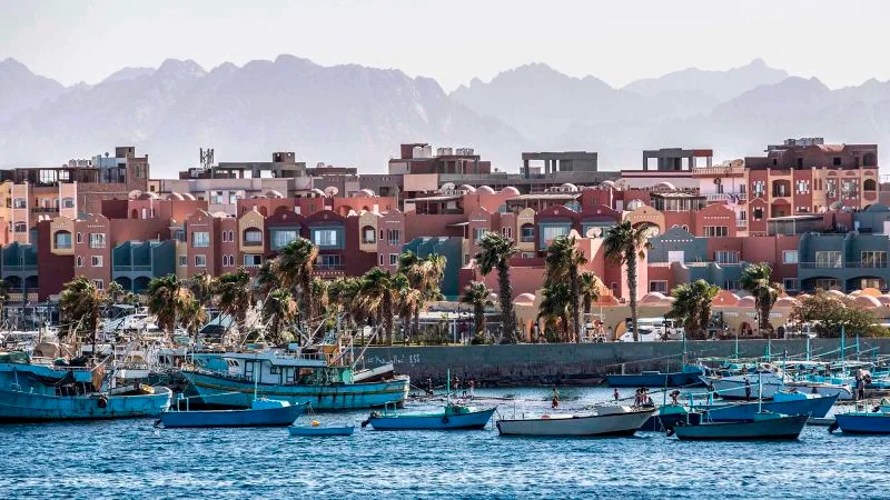 German tourist dies after cobra bite at Hurghada hotel snake show