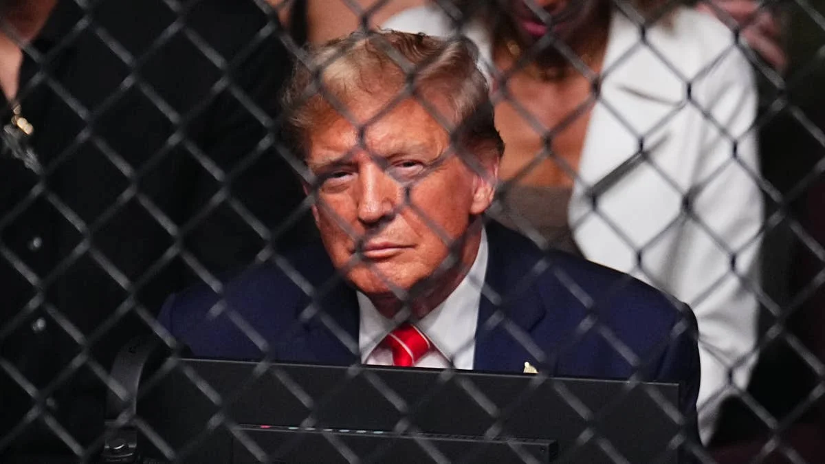 Trump's Stock Move Draws Ethics Scrutiny Ahead of White House UFC Event
