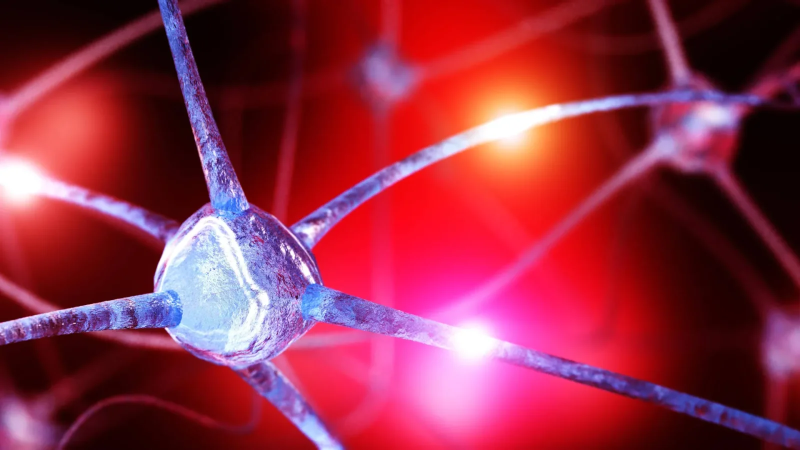 Brain choline deficit linked to anxiety hints at dietary approaches