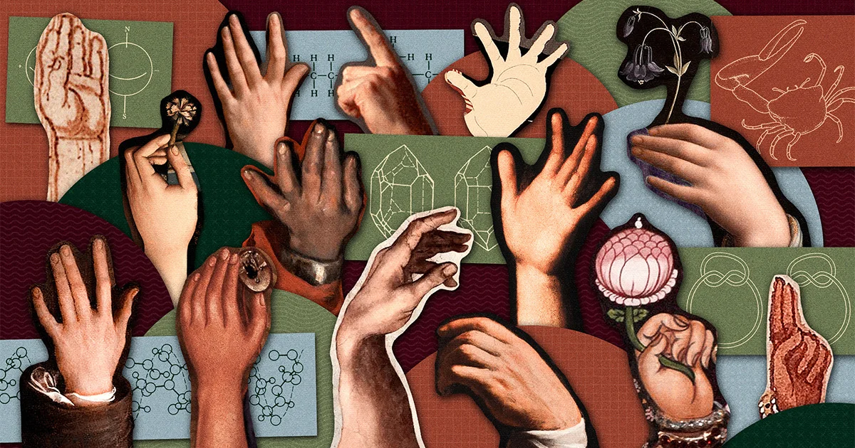 The Secret History of Left-Handedness: Genes, Spinal Cords, and Culture