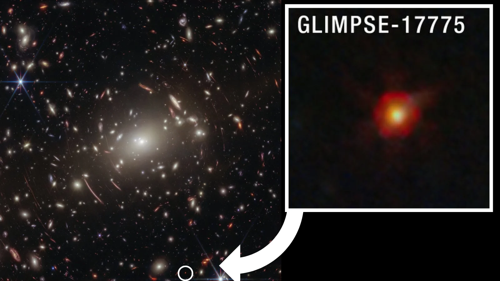 Webb telescope uncovers a black hole star among the early-universe 'little red dots'