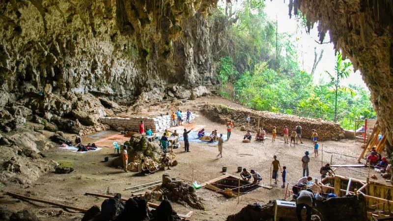 Flores hobbits likely scavengers, not big-game hunters, new study says