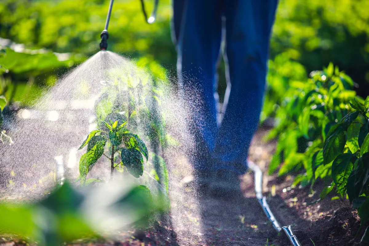 Calif. suburb investigates pesticide exposure after cancer cluster in children