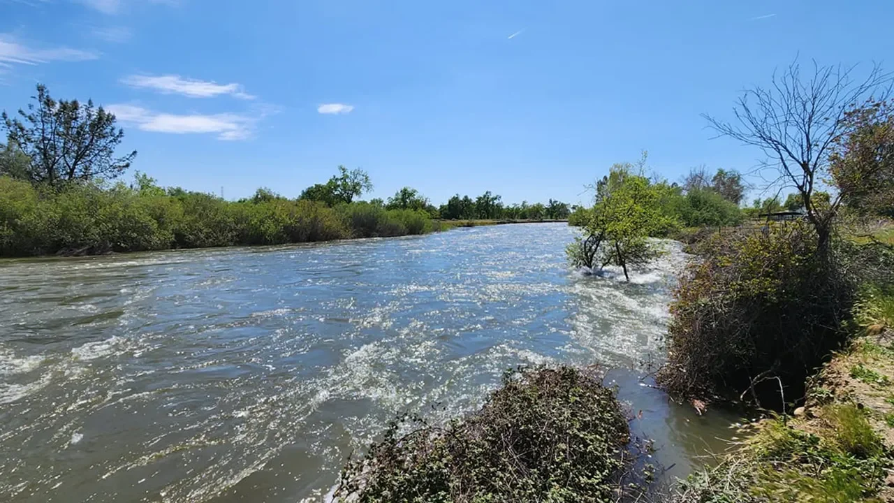 Tragic Discovery: Bodies of Young Siblings Found in California River