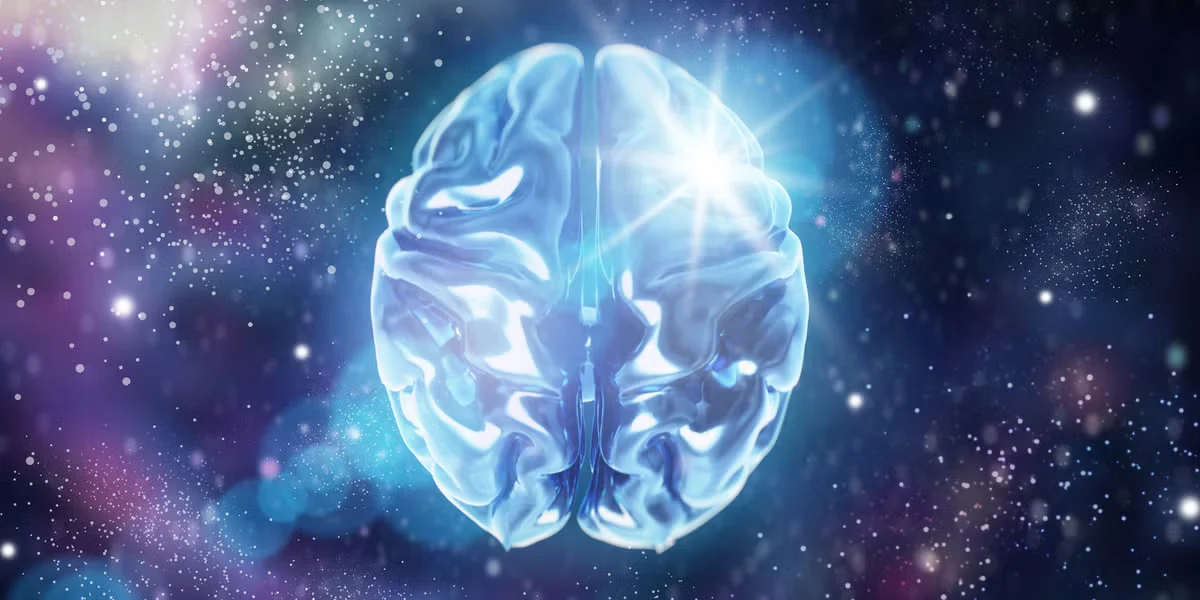 Cryogenic Revival of Mouse Brain Tissue Fuels Hibernation Prospects for Space