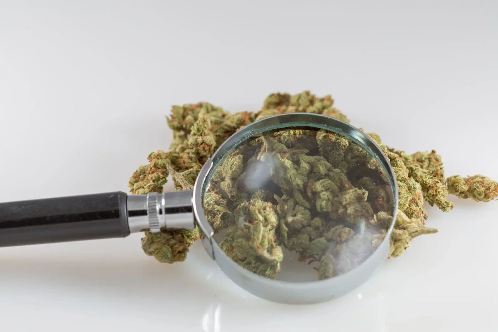 DEA Launches On-Site Inspections of Dispensaries Registering Under Cannabis Rescheduling Plan