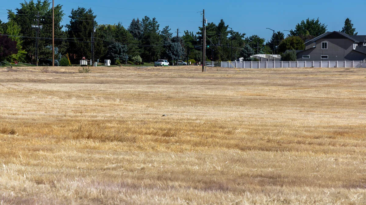 Meridian eyes 250-unit Emblem complex on Eagle Road under review