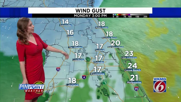 Chilly North Wind Brings Rain and Cold Front to Florida
